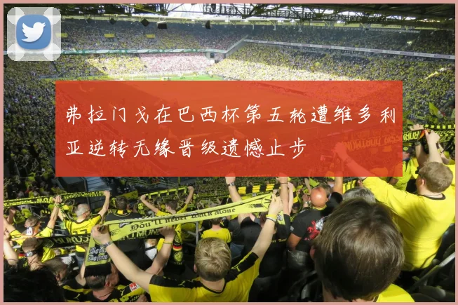 弗拉门戈在巴西杯第五轮遭维多利亚逆转无缘晋级遗憾止步
