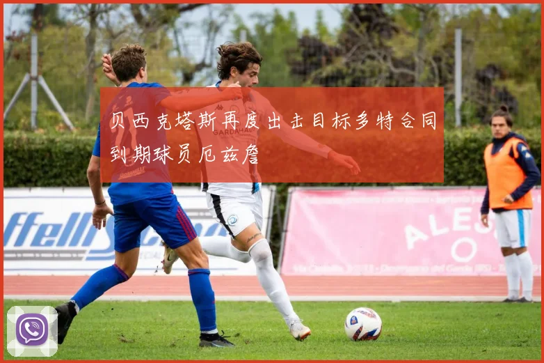 贝西克塔斯再度出击目标多特合同到期球员厄兹詹